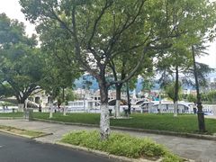 -兴盛大桥
