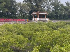 -北海金海湾红树林生态旅游区