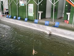 -会江钓鱼钓虾烧烤场