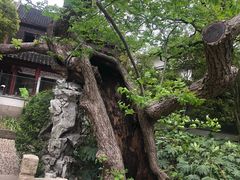 -汇龙潭
