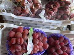 -马陆小张葡萄园农家乐