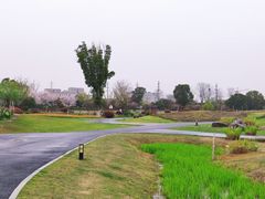 -径山花海
