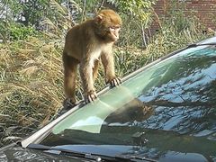 -重庆雨台山风景区
