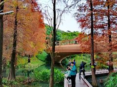 -云溪植物园