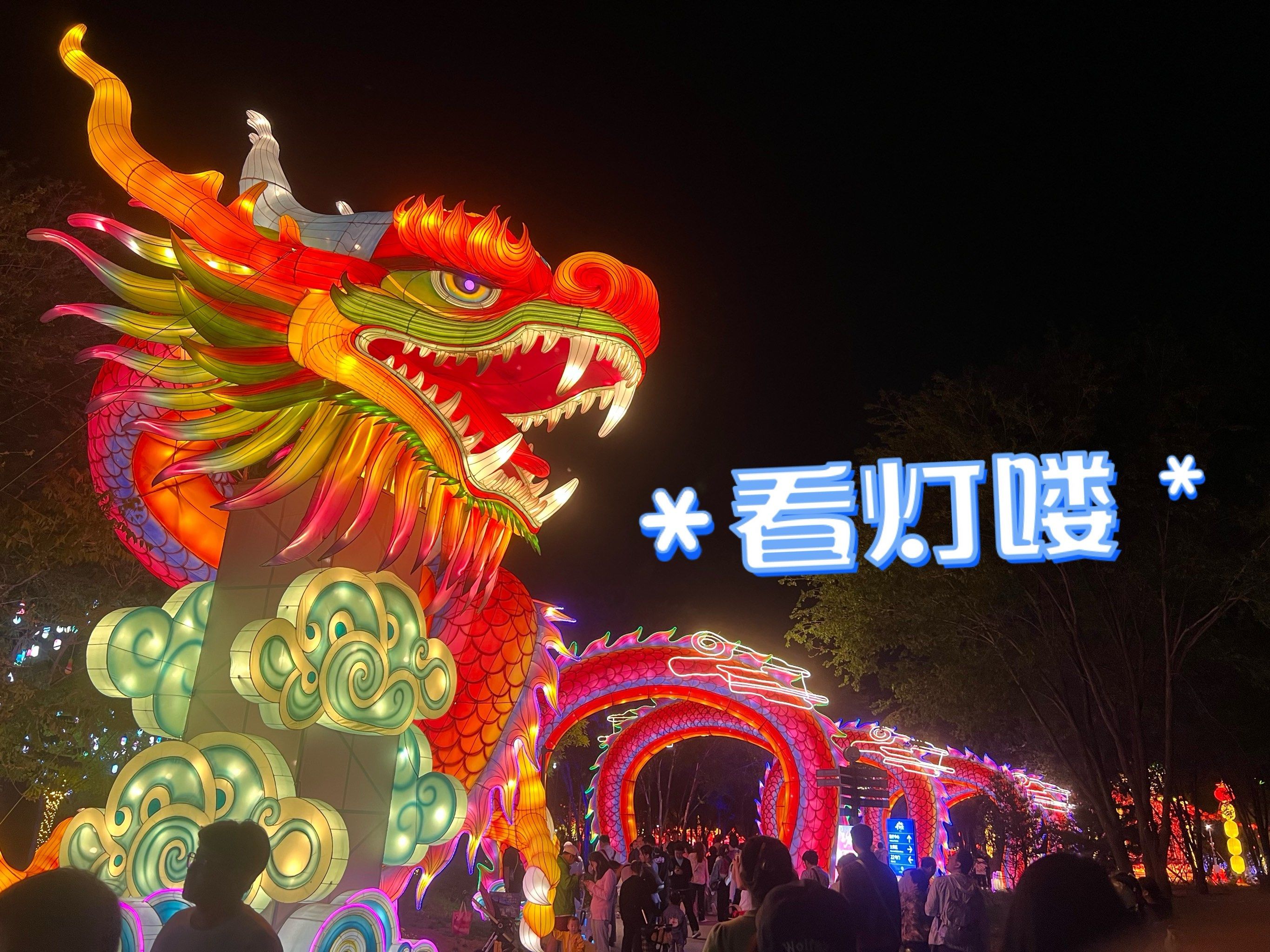 第一次去温榆河的千灯会,在北京如果没有其他地方玩的话,我觉得这里是