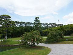 -迪茵湖田家舍生态农场