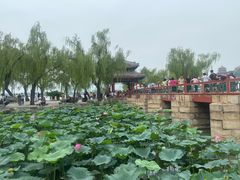 -山妹子铁锅炖