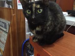 -汇佳桌游剧本咖啡馆(万体馆旗舰店)