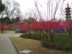 -上海市龙华烈士陵园