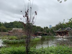 -顺峰山公园