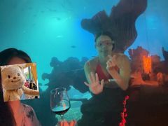 -海棠湾洲际-涛·海底餐厅·美人鱼·自助餐·海底隧道