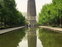 -玲珑塔公园