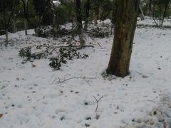 -镇江市南山风景名胜区竹林景区