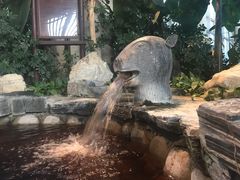 -中家鑫园温泉酒店鑫悦汤泉