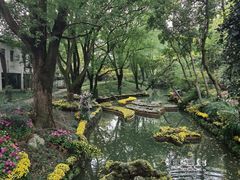 -汇龙潭
