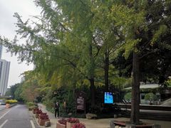 -成都市活水公园