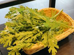 茼蒿-望蝎门羊蝎子火锅(祭城店)