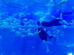 -华夏文旅海洋公园