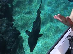 -暹罗海洋世界