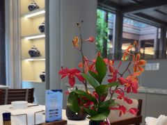 -狮王府淮扬菜(夫子庙老门东店)