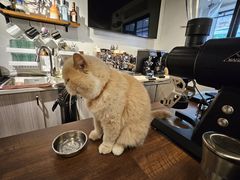 -Double cafe