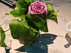 -曼格纳·曼芯馆(杨浦店)