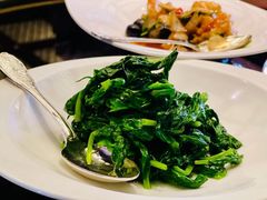 五粮液豌豆尖-北京四季酒店·采逸轩