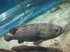 -福州罗源湾海洋世界旅游区