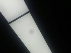 -鸡毛店·川菜(双楠店)