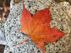 -九鼎铁刹山风景区