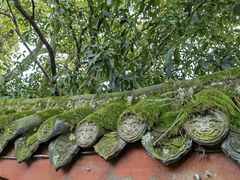 -峨眉山报国寺