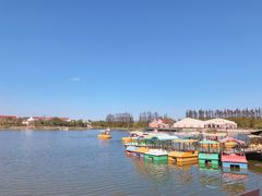 -上海长兴岛郊野公园