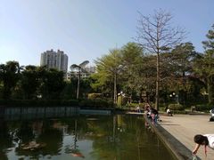 -东风公园