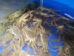 -阳澄湖大闸蟹·琼灵阁牌品牌连锁(吴中总店)