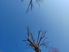 -卤阳湖国家湿地公园