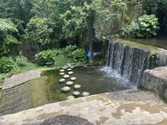 -千岛湖东南湖区