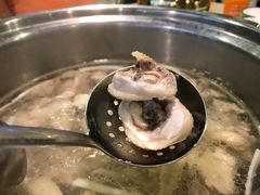 椰子鸡-四季合味椰子鸡(南山大冲店)