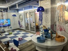 -Dr.Z dental仁康种植矫正中心