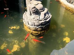 -都江堰普照寺