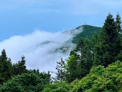 -明月山风景名胜区