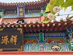 -洛阳白马寺