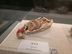 -巴音郭楞蒙古自治州博物馆