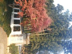 android_upload_pic-焦山风景区