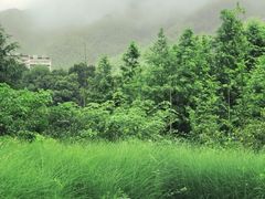 -莫干山风景区