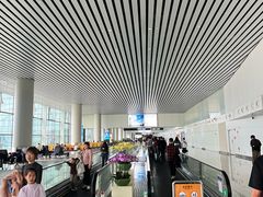 -广州白云国际机场-T2航站楼