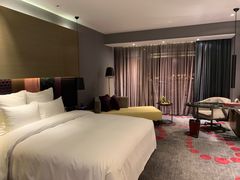 -南京禄口机场雅高铂尔曼大酒店