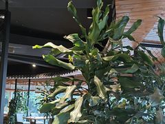 -盐帮食坊•小河帮川菜(四川师大店)