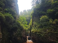-茅兰沟国家森林公园