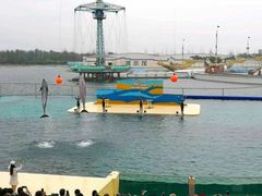 -秦皇岛乐岛海洋王国