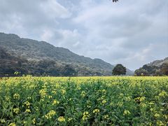 -广州市石门国家森林公园